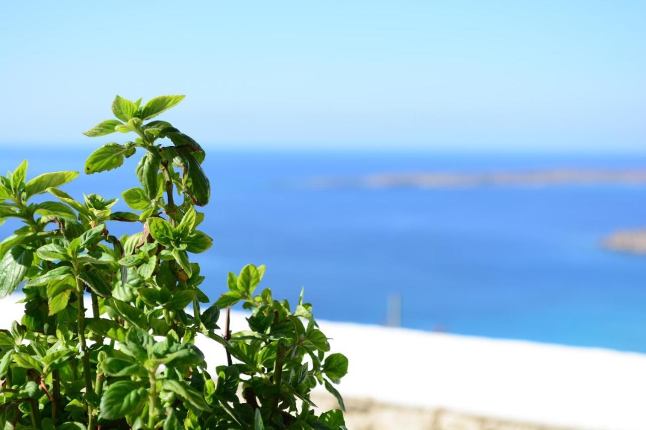 Villa Anemolia Lakki (Karpathos)